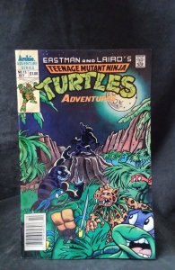 Teenage Mutant Ninja Turtles Adventures #15 (1990)
