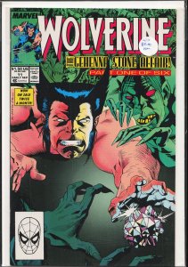 Wolverine #11 (1989) Wolverine