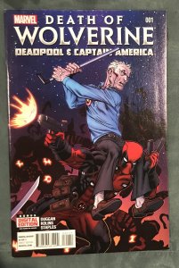 Death of Wolverine: Deadpool & Captain America (2014)