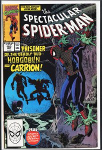 The Spectacular Spider-Man #163 (1990) Spider-Man