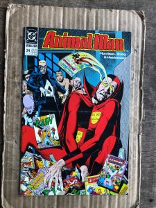 Animal Man #24 (1990)