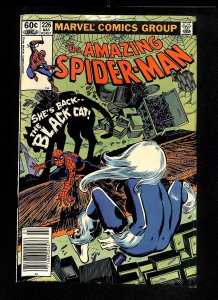 Amazing Spider-Man #226 Newsstand Variant Black Cat!