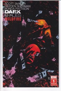 DARK SPACES WILDFIRE (2022 IDW) #1 VARIANT CVR B