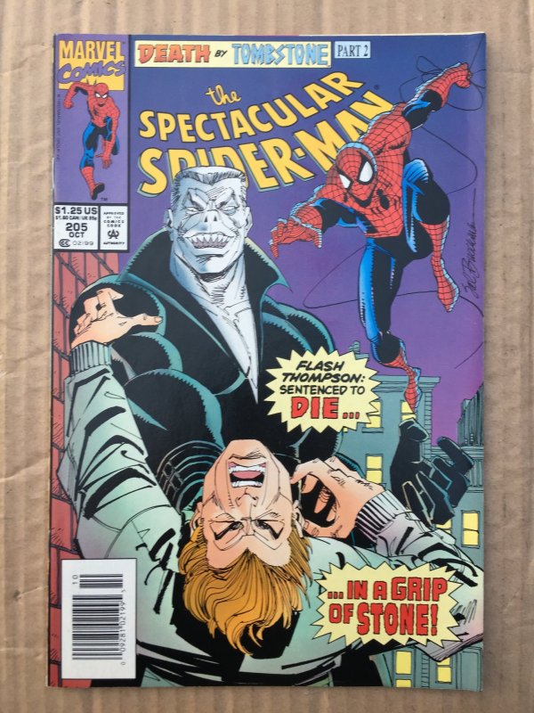 The Spectacular Spider-Man #205 (1993)