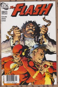 The Flash #229 (2006)