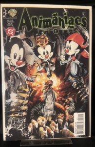 Animaniacs #19 (1996)