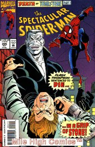 PETER PARKER (1976 Series)  (SPECTACULAR SPIDER-MAN) #205 Very Good Comics Book