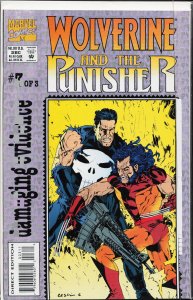 Wolverine and the Punisher: Damaging Evidence #3 (1993) Punisher
