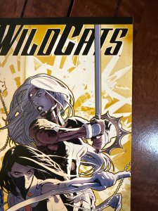 WildCats #15 (2009)