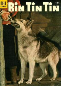 Rin Tin Tin #7, Fine (Stock photo)