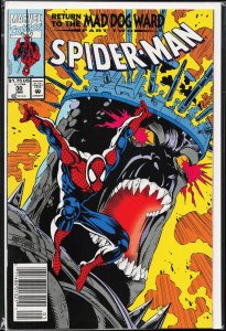 Spider-Man #30 (1993) Spider-Man