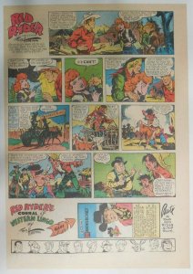 (52) Red Ryder Sunday Pages by Fred Harman from 1951 Tabloid Size Complete Year!