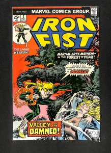 Iron Fist #2