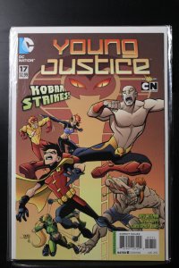 Young Justice #17 (2012)
