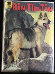 Rin Tin Tin #9 (1955)