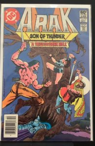 Arak, Son of Thunder #4 (1981)