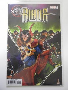 Death of Doctor Strange: Blade #1 Variant Edition