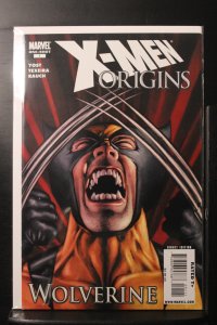 X-Men Origins: Wolverine (2009)