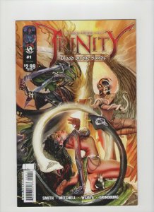 Trinity #1 Blood On The Sands - Witchblade - 2009 (Grade 9.2) WH