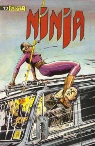 Ninja #12 FN ; Eternity