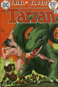 Tarzan (1972 series) #228, Fair+ (Stock photo)