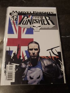 The Punisher #18 (2002)