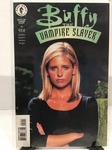 Buffy the Vampire Slayer: The Remaining Sunlight (1999)