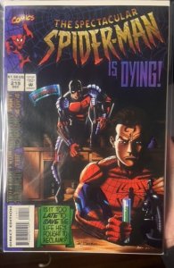 The Spectacular Spider-Man #219 (1994)
