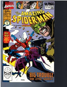 The Amazing Spider-Man Annual #24 (1990)