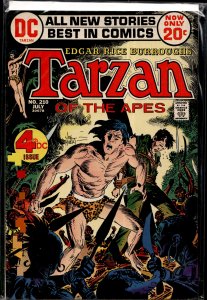 Edgar Rice Burroughs' Tarzan #210 (1972)