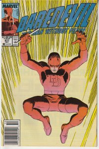 Daredevil(vol. 1)# 271  Extreme Animal Rights !!!!!!