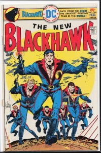 Blackhawk #244 (1976)
