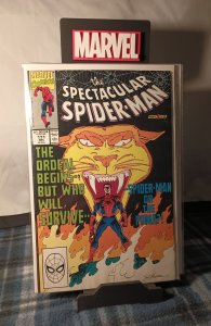 The Spectacular Spider-Man #171 (1990)