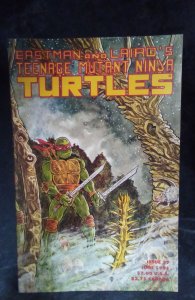 Teenage Mutant Ninja Turtles #37 (1991)