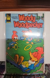 Woody Woodpecker #200