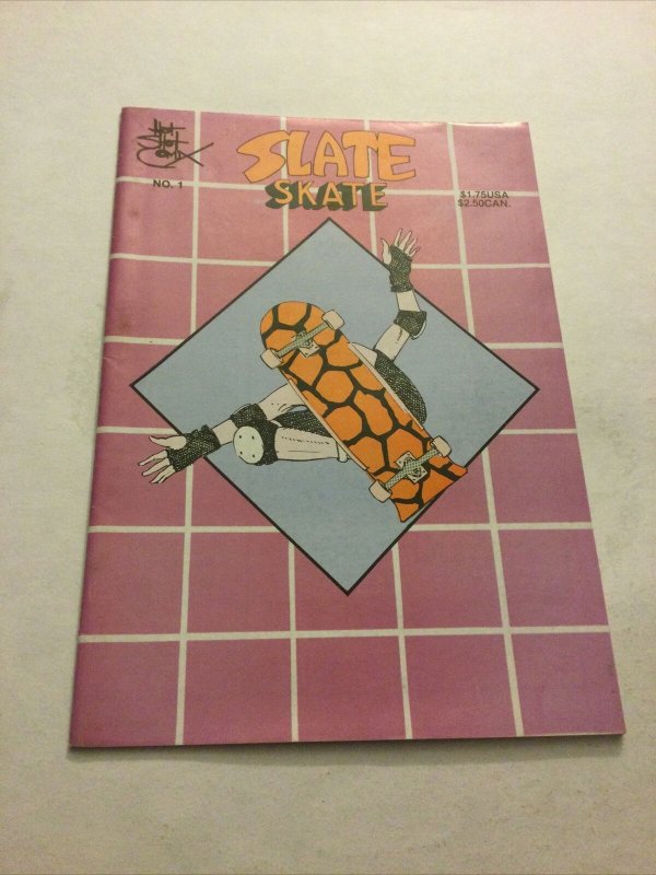 Slate Skate 1 Fn Fine 6.0 Hot Shot Comix