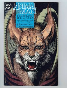 Animal Man #56 VF signed by Scot Eaton - DC Comics - Jamie Delano Steve Pugh
