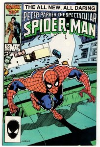 The Spectacular Spider-Man #114 Black Costume Spidey