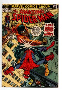 Amazing Spider-Man #123 - Luke Cage - 1973 - FN/VF
