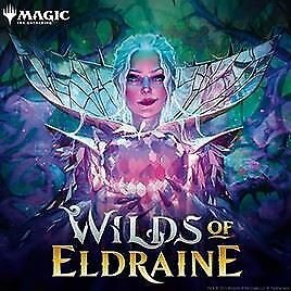 MtG: Wilds of Eldraine Draft Booster Box