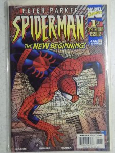 Peter Parker: Spider-Man #1 (1999)