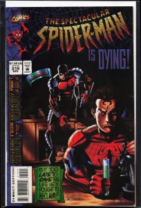 The Spectacular Spider-Man #219 (1994) Spider-Man
