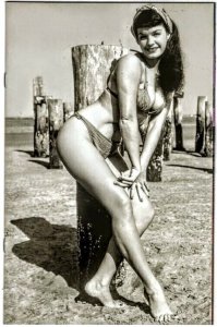 Bettie Page: Unbound #3 1:10 Retailer Incentive Virgin Photo Variant