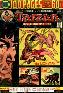 TARZAN (1972 Series)  (DC) #234 Very Good Comics Book