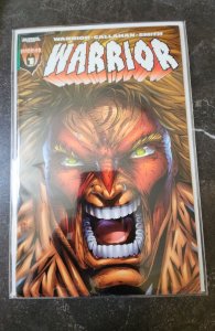 Warrior #1 (1996)