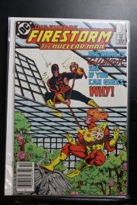 The Fury of Firestorm #28 (1984)