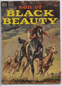 SON OF BLACK BEAUTY - Four Color #566 - Dell - Painted cover