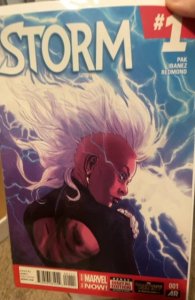 Storm #1 (2014) Storm 