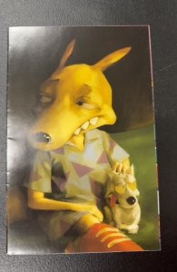 Rocko's Modern Life #1 Cover B (2017)