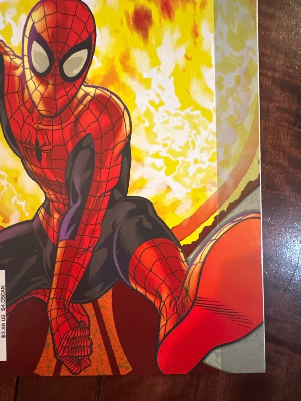 Spider-Man: With Great Power... #3 (2008)